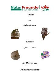 Download - NaturFreunde Deutschlands