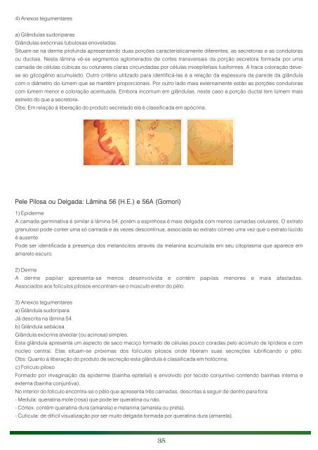 ATLAS DE HISTOLOGIA2 - Universidade Católica de Pelotas