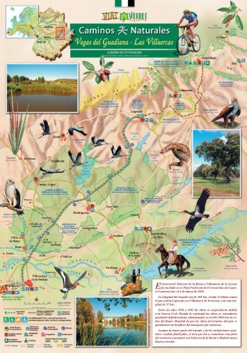 Download - Birding in Extremadura