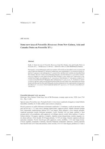 Some new taxa of Potentilla (Rosaceae) from New Guinea, Asia and ...