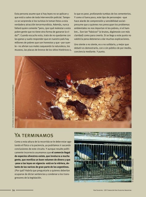 comercio ilegal - WWF