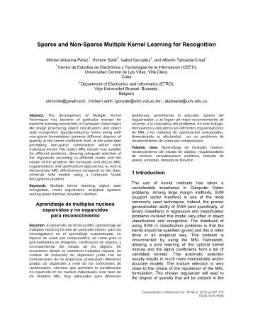 Sparse and Non-Sparse Multiple Kernel Learning for ... - C.I.C.