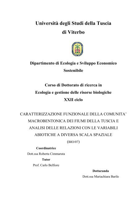 Università degli Studi della Tuscia di Viterbo - Unitus DSpace ...