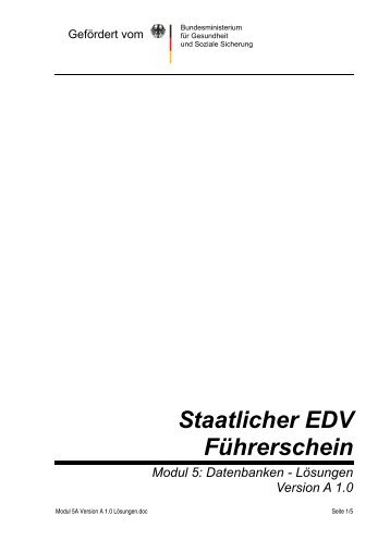 Staatlicher EDV Führerschein