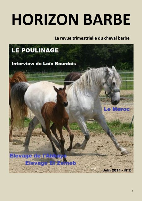 rencontre equestre beaucaire 2011