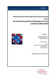 Nahverkehrsplan Landkreis Birkenfeld - RNN – Rhein Nahe ...