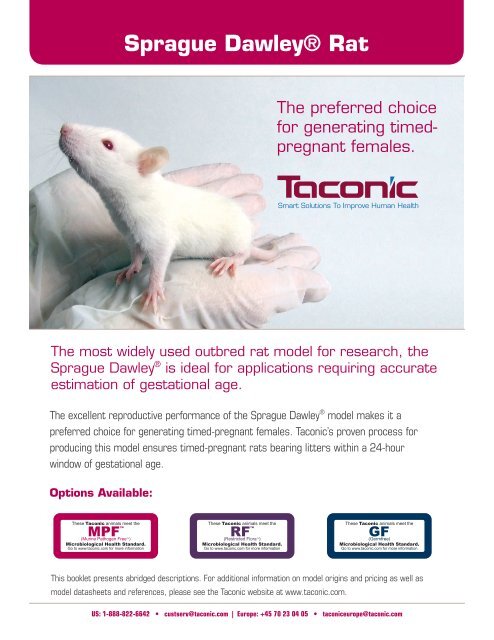 Sprague Dawley® Rat Model - Taconic