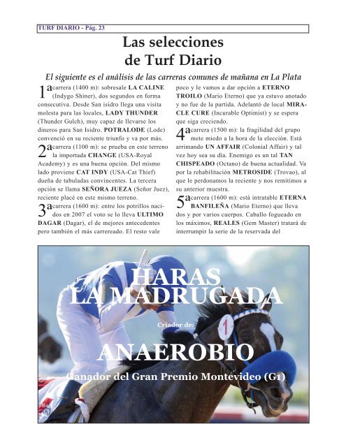 Informes - Turf Diario