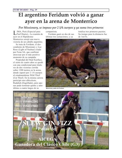 Informes - Turf Diario