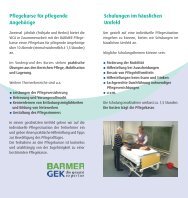 Flyer Pflegekurs - Vica