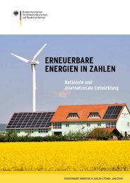 Erneuerbare Energien in Zahlen - nationale und ... - Depi