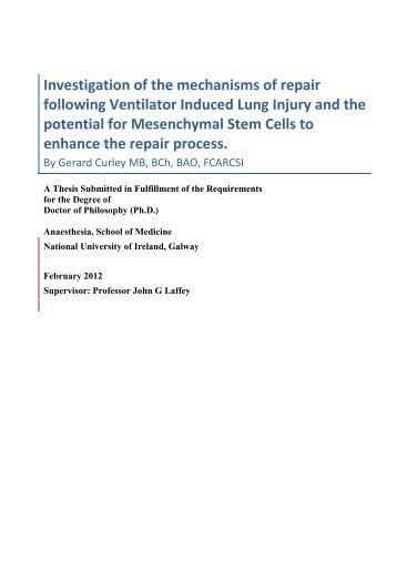 Investigation of the mechanisms of repair following Ventilator ...