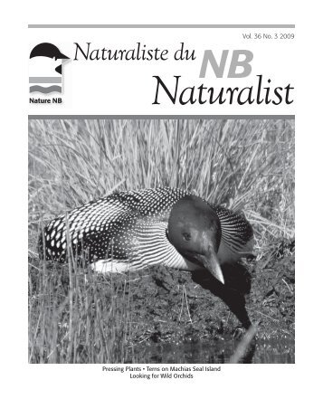Vol. 36 No. 3 2009 - Nature NB