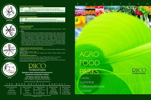 Agro Food Park.pdf - RIICO