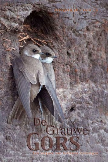 Grauwe Gors - jaargang 38 - 2010 - nr 2 - Avifauna Groningen