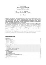 Hierarchische P2P-Netze