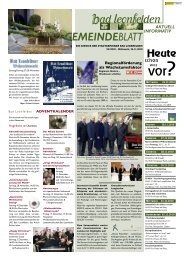 Gemeindeblatt vom 24.11.2010 - Bad Leonfelden