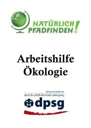 Arbeitshilfe Ökologie (PDF: kByte) - DPSG Diözesanverband Trier