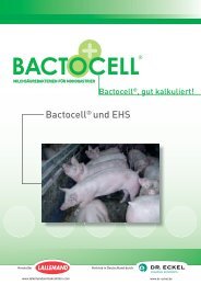Bactocell® und EHS - Dr. Eckel