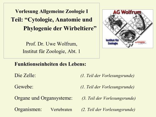Zelluläre Bewegungsmechanismen VL WS 2001/2002 Mo 16-17 ...