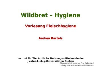Wildbret – Hygiene - Fachbereich 10 - Veterinärmedizin