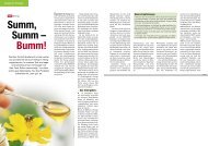 Summ, Summ – Bumm! - Presse - Öko-Test