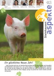 Ausgabe 01/2011 (Grösse 4.0 MB) - Aspekte Steinhausen