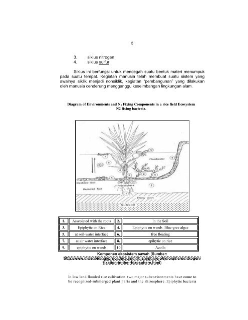 EKOSISTEM SAWAH