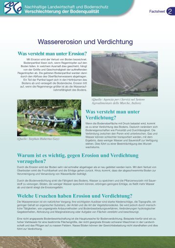 Wassererosion und Verdichtung - agrilife - Europa