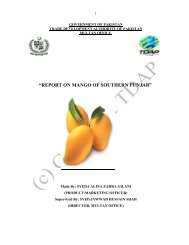 report on mango of southern punjab - Trade Development Authority ...