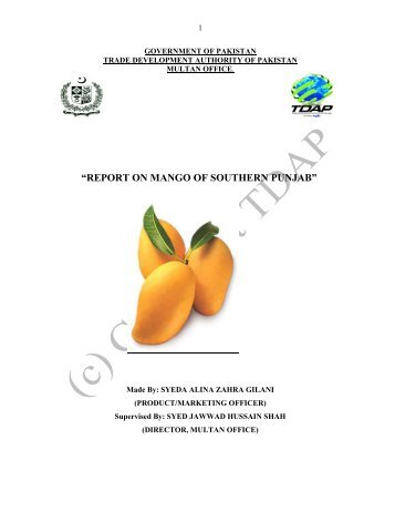 report on mango of southern punjab - Trade Development Authority ...