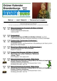 Grüner Kalender Brandenburgs Januar - Meetingpoint Brandenburg