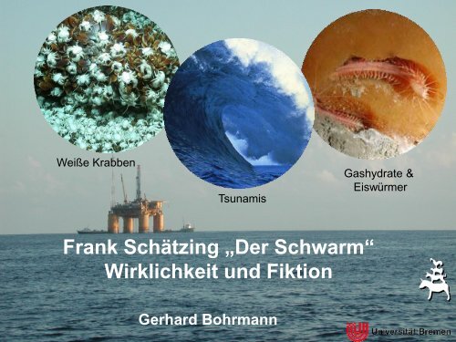 Der Schwarm Frank Schatzing Pdf
