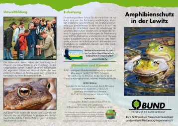 Faltblatt "Amphibienschutz in der Lewitz"