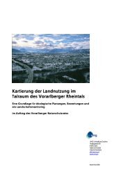 Kartierung der Landnutzung im Talraum des Vorarlberger Rheintals