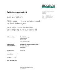 Erläuterungsbericht - und Kreisstadt Bad Salzungen