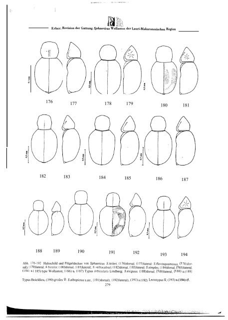 Revision der Gattung Sphaericus (Col., Ptinidae) der Lauri ...