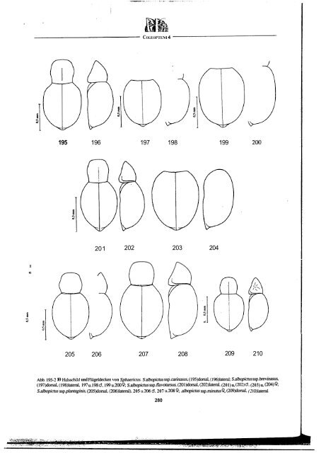 Revision der Gattung Sphaericus (Col., Ptinidae) der Lauri ...