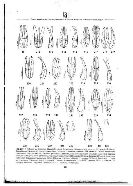 Revision der Gattung Sphaericus (Col., Ptinidae) der Lauri ...