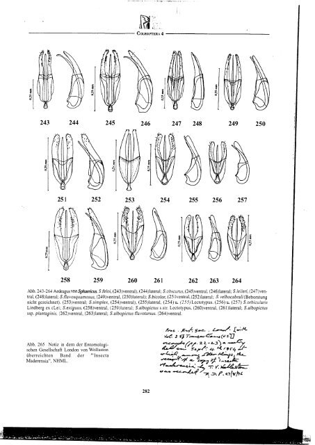 Revision der Gattung Sphaericus (Col., Ptinidae) der Lauri ...