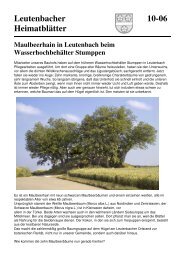 Maulbeerhain in Leutenbach