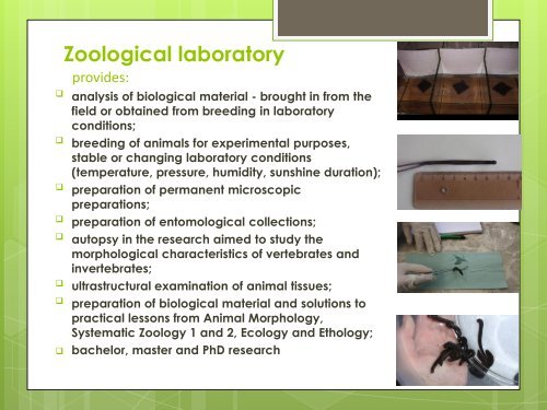 Katedra zoológie a antropológie FPV UKF v Nitre - Faculty of Natural ...