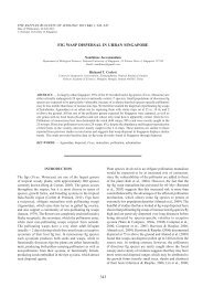 FIG WASP DISPERSAL IN URBAN SINGAPORE 343