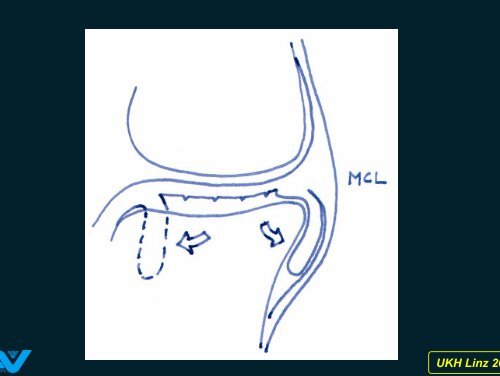 Zum Verständnis der Pathologie von ... - Fischmeister