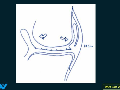 Zum Verständnis der Pathologie von ... - Fischmeister