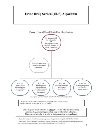 Urine Drug Screen (UDS) Algorithm - Dr. Jeffrey Fudin