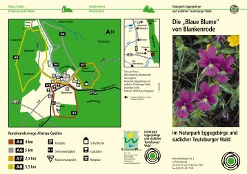 Wandertour zum Galmeiveilchen in Blankenrode - Lichtenau