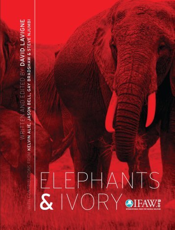 ELEPHANTS & IVORY