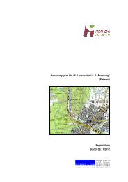 Begründung zum Planentwurf - Stadt Hofheim am Taunus