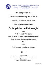 Anamnesen als pdf - Internationale Akademie für Pathologie ...